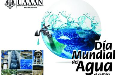 22 de marzo, Día Mundial del Agua