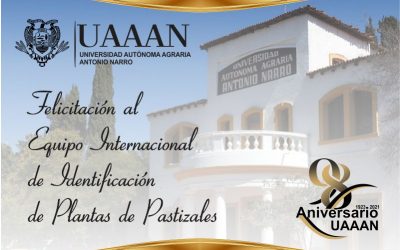 Equipo Internacional de Identificación de Plantas de Pastizales