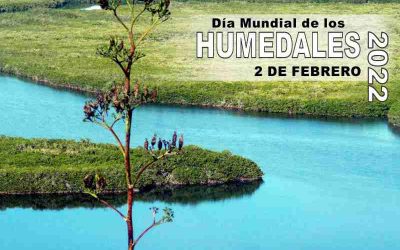 Día Mundial de los Humedales