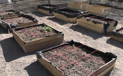 Toman el enfoque de la Permacultura, la agricultura regenerativa