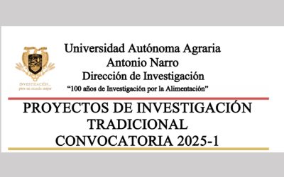 CONVOCATORIA PROYECTOS DE INVESTIGACION 2025-1