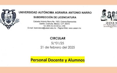 CIRCULAR LICENCIATURA